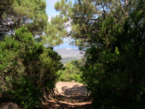 Pantelleria montagna