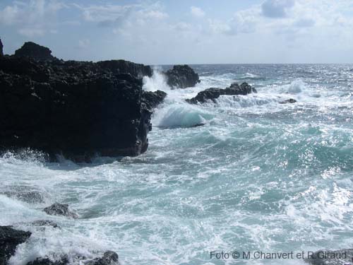 Pantelleria mare