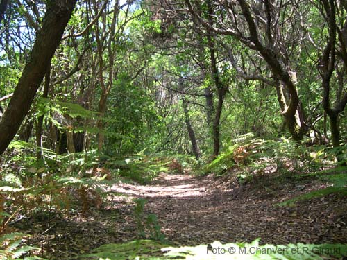 Pantelleria montagna