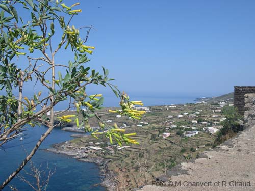 Pantelleria panorama