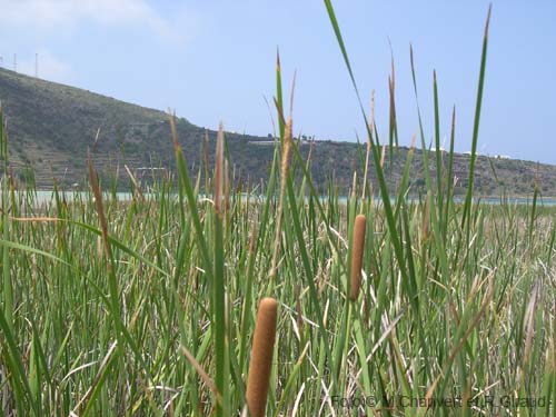 Pantelleria lago