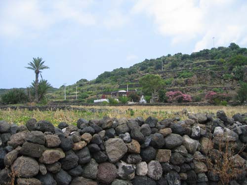 Pantelleria dammuso