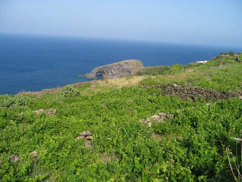 Pantelleria panorama