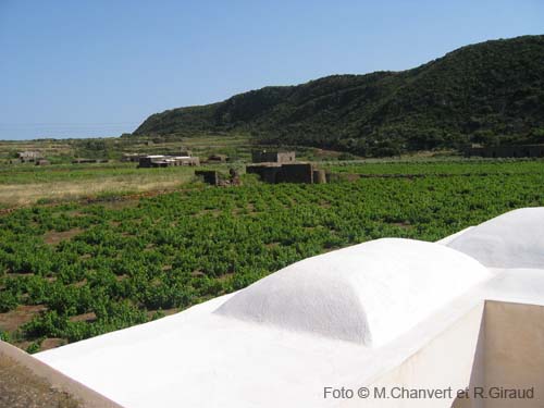 Pantelleria dammuso