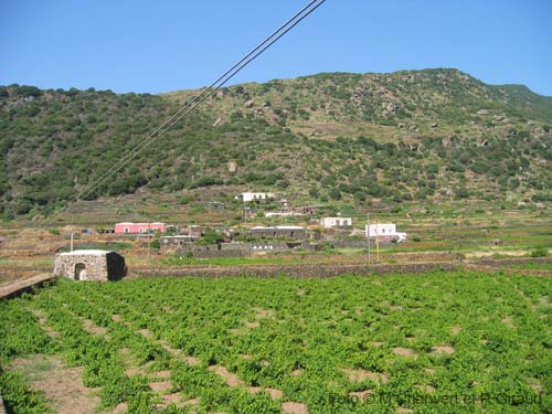 Pantelleria dammuso