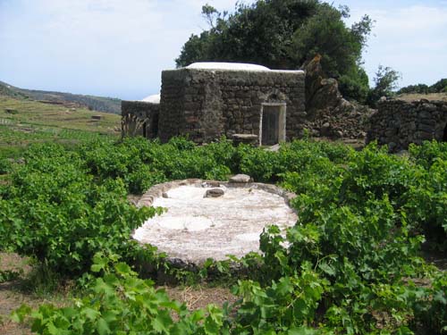 Pantelleria dammuso