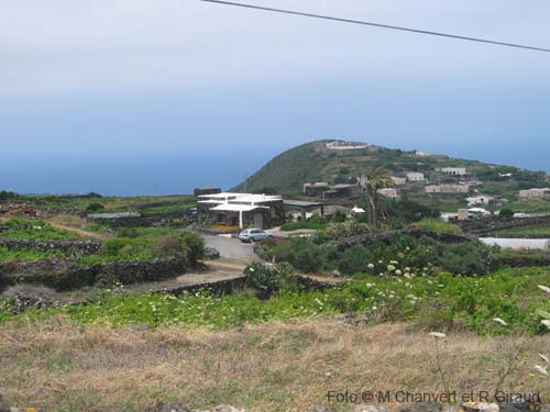 Pantelleria dammuso