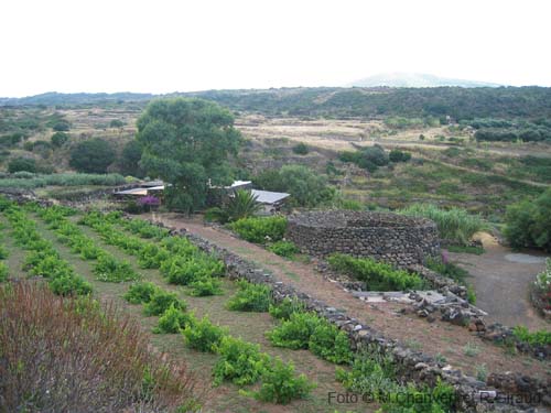 Pantelleria dammuso