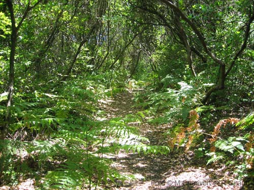 Pantelleria montagna