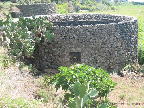 Pantelleria giardino