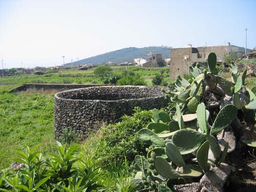 Pantelleria giardino