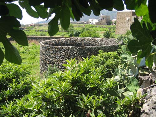 Pantelleria giardino